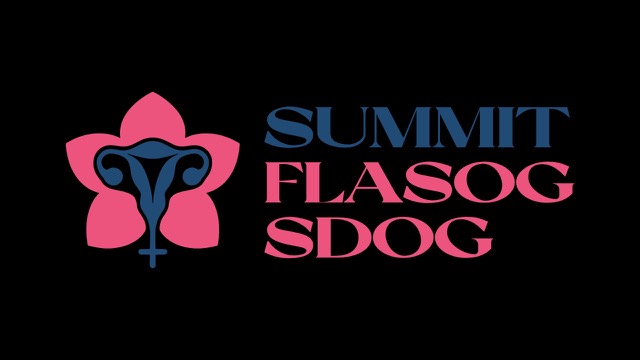 Logo 1 SUMMIT FLASOG